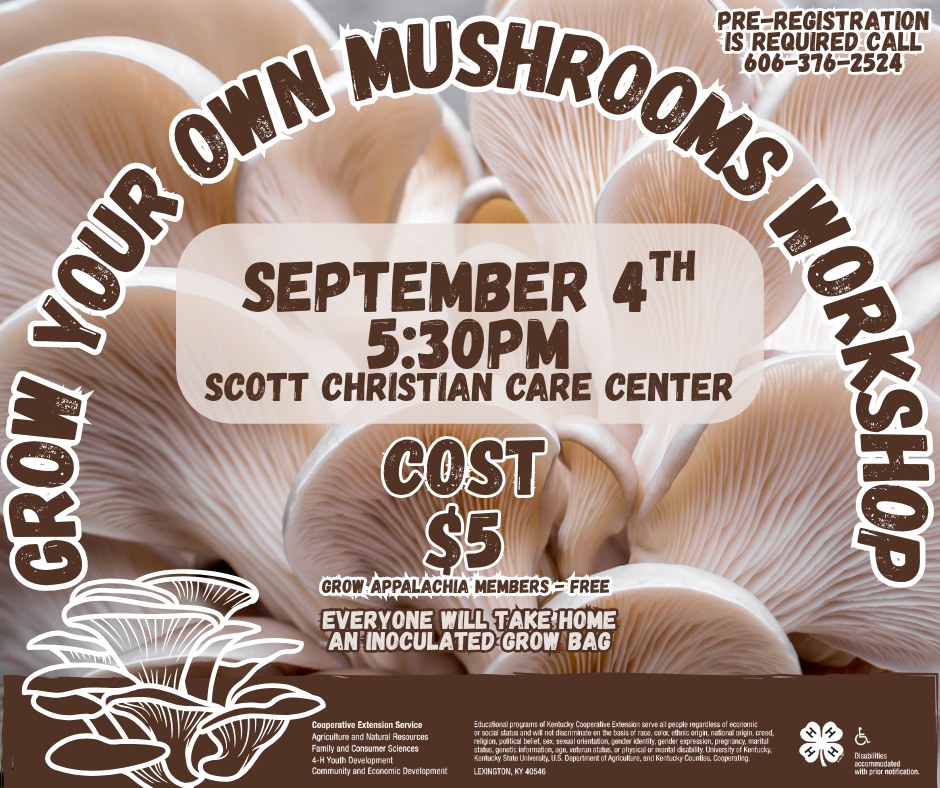 mushroom