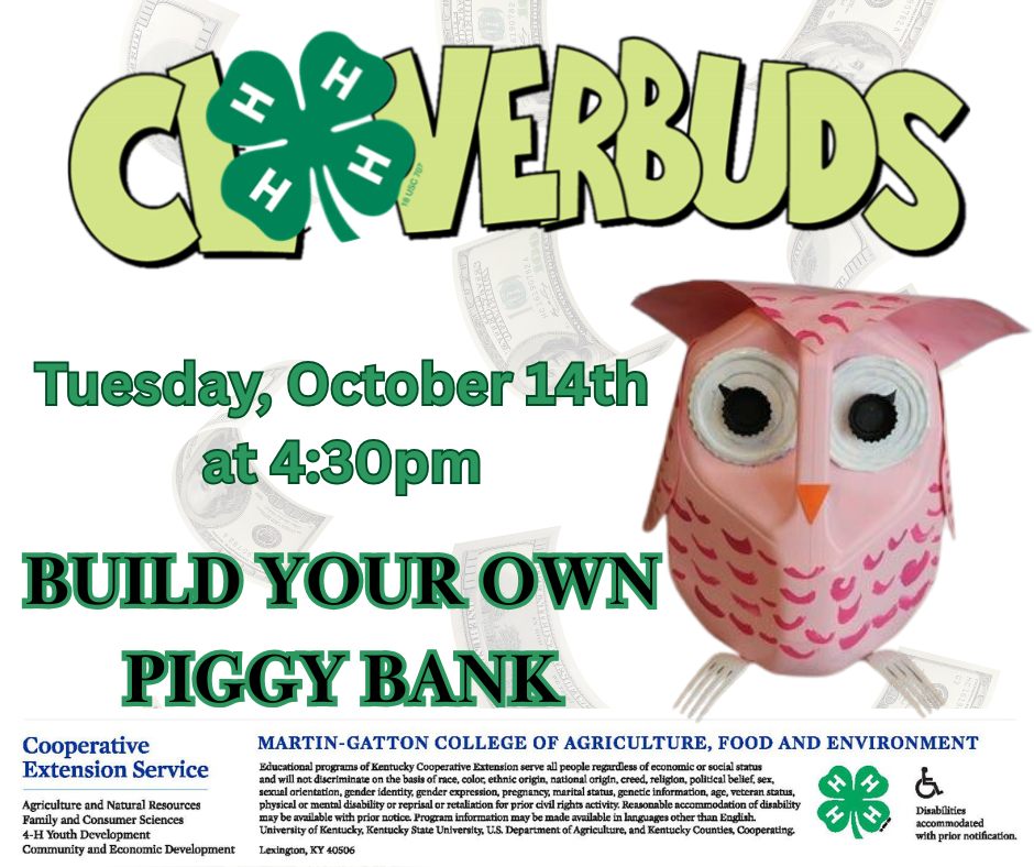 Cloverbuds Piggy Banks