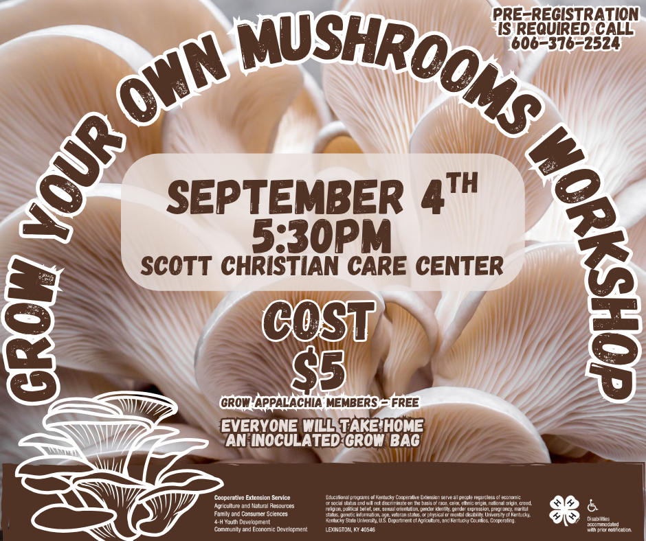 Grow Your Own Mushrooms Workshop
