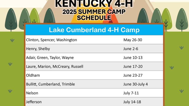 4-H CAMP FLYER 