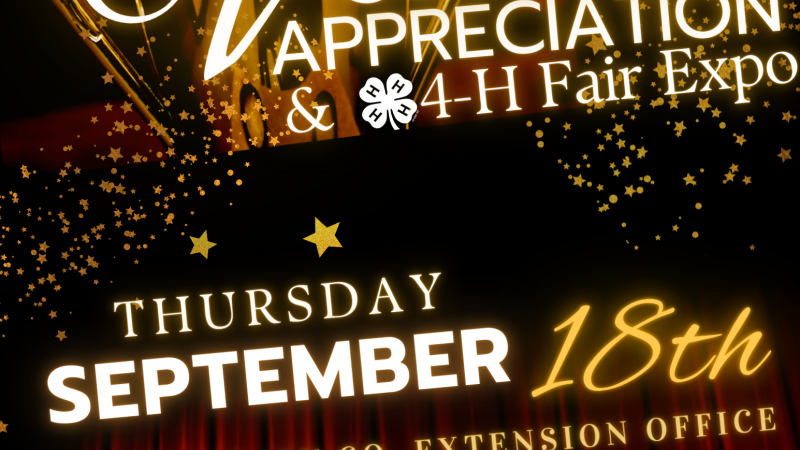 Volunteer Appreciation Flyer
