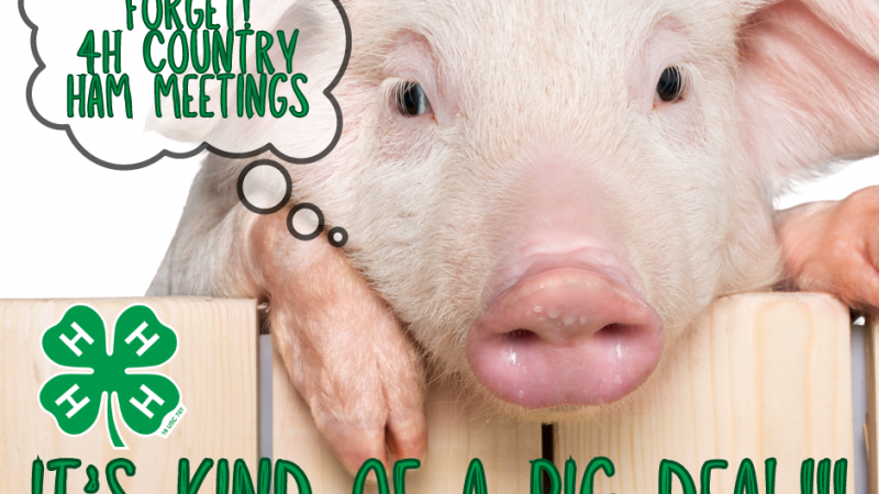 4-H Country Ham Project